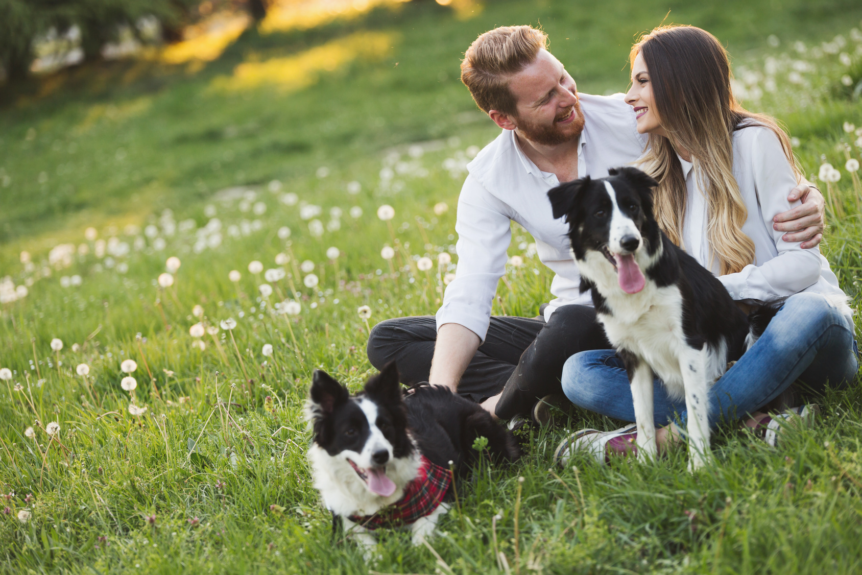 ワンちゃん愛は譲れない 犬好きとの出会いはどこで見つけるのがイイの 街コン レポート